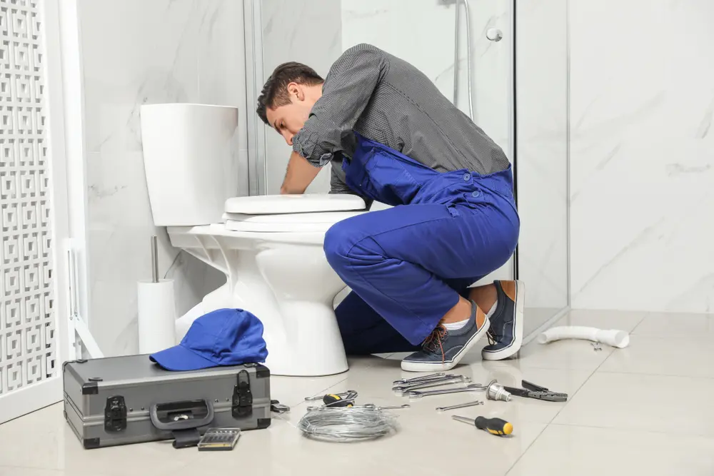 Toilet Repair in Felton